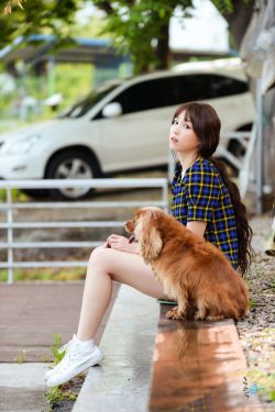 苹果全集 封面