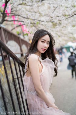 泪壶在线观看 封面