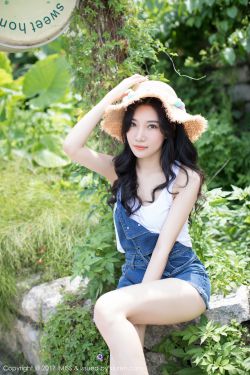 疾速备战 封面
